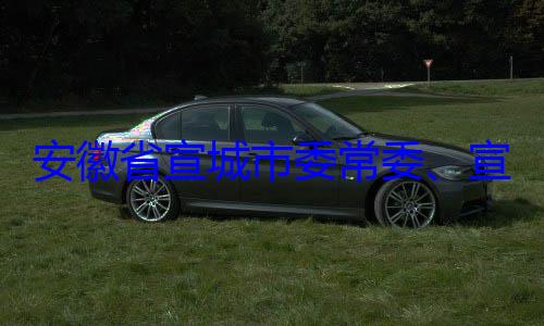 郭金友接受宣传部部长安徽省宣城市委常委审查调查